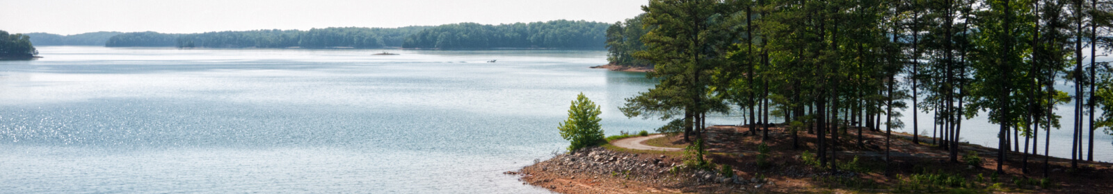 Lake Lanier 