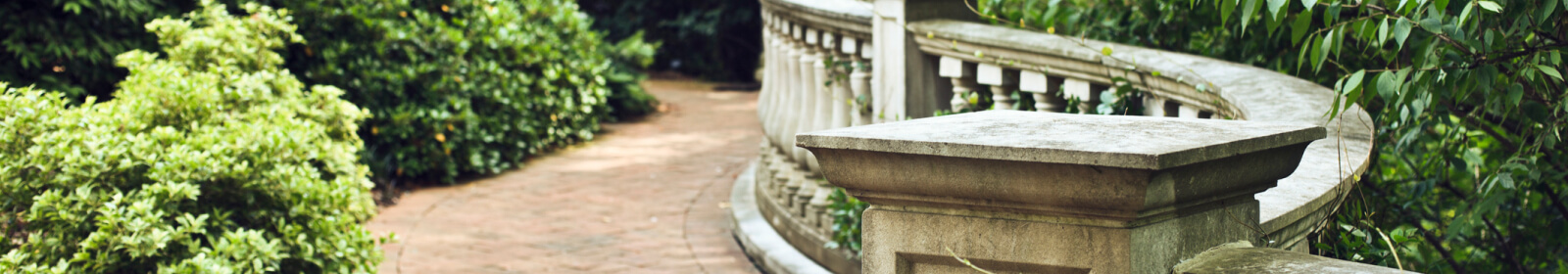 paved path in a garden